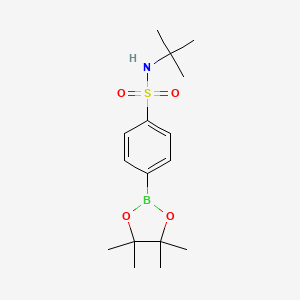 molecular formula C16H26BNO4S B1286007 4-(tert-Butylamino)sulfonylphenylboronic acid pinacol ester CAS No. 648905-63-9