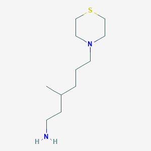 molecular formula C11H24N2S B12862030 3-Methyl-6-(thiomorpholin-4-yl)hexan-1-amine 