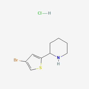 molecular formula C9H13BrClNS B1286311 2-(4-溴噻吩-2-基)哌啶盐酸盐 CAS No. 1177327-68-2
