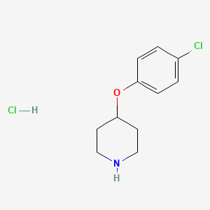 molecular formula C11H15Cl2NO B1287038 4-(4-氯苯氧基)哌啶盐酸盐 CAS No. 63843-53-8