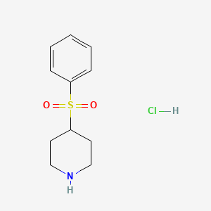 4-Benzenesulfonylpiperidine hydrochloride
