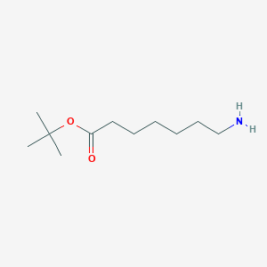 molecular formula C11H23NO2 B1287346 Tert-butyl 7-aminoheptanoate CAS No. 105974-64-9