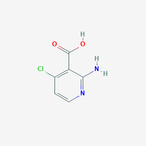molecular formula C6H5ClN2O2 B1287456 2-氨基-4-氯烟酸 CAS No. 605661-83-4