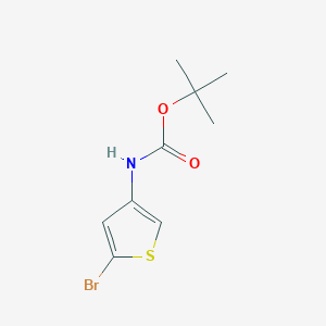 molecular formula C9H12BrNO2S B1287752 2-溴-4-(N-叔丁氧羰基氨基)噻吩 CAS No. 494833-75-9
