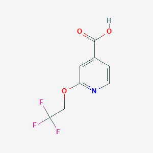 2-(2,2,2-Trifluoroethoxy)pyridine-4-carboxylic acid