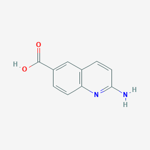 molecular formula C10H8N2O2 B1289070 2-氨基喹啉-6-羧酸 CAS No. 736919-39-4