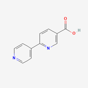 molecular formula C11H8N2O2 B1290336 [2,4'-Bipyridine]-5-carboxylic acid CAS No. 216867-60-6