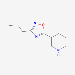 molecular formula C10H17N3O B1290654 3-(3-Propyl-1,2,4-oxadiazol-5-YL)piperidine CAS No. 902837-18-7