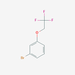 molecular formula C8H6BrF3O B1290883 1-Bromo-3-(2,2,2-trifluoroethoxy)benzene CAS No. 888327-41-1