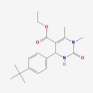 molecular formula C19H26N2O3 B1291052 Ethyl 4-[4-(tert-butyl)phenyl]-1,6-dimethyl-2-oxo-1,2,3,4-tetrahydro-5-pyrimidinecarboxylate CAS No. 1000927-59-2