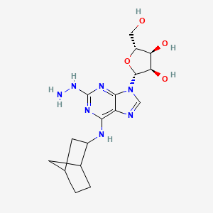 N-Bicyclo[2.2.1]heptan-2-yl-2-hydrazinyladenosine