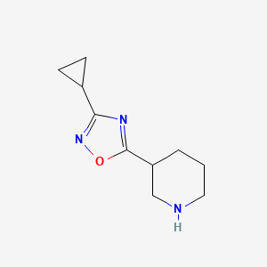 molecular formula C10H15N3O B1292763 3-(3-环丙基-1,2,4-恶二唑-5-基)哌啶 CAS No. 1042499-41-1