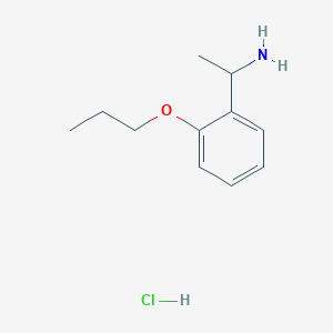 molecular formula C11H18ClNO B1292811 1-(2-丙氧苯基)-1-乙胺盐酸盐 CAS No. 1135292-86-2