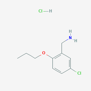 molecular formula C10H15Cl2NO B1292815 (5-氯-2-丙氧基苯基)甲胺盐酸盐 CAS No. 1135288-57-1