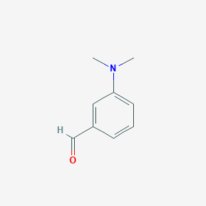 molecular formula C9H11NO B1293425 3-(Dimethylamino)benzaldehyde CAS No. 619-22-7