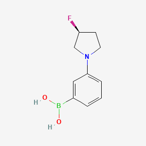 (S)-(3-(3-fluoropyrrolidin-1-yl)phenyl)boronic acid