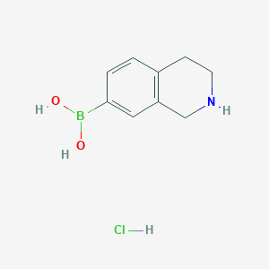 (1,2,3,4-Tetrahydroisoquinolin-7-yl)boronic acid hydrochloride