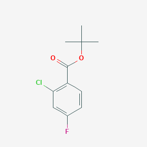 B1294263 tert-Butyl 2-chloro-4-fluorobenzoate CAS No. 911314-43-7