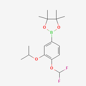 molecular formula C16H23BF2O4 B12943424 2-(4-(Difluoromethoxy)-3-isopropoxyphenyl)-4,4,5,5-tetramethyl-1,3,2-dioxaborolane 