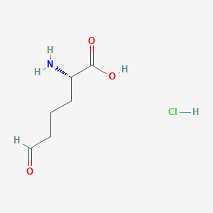 (S)-2-Amino-6-oxohexanoic acid hydrochloride