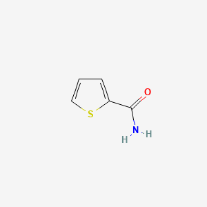 molecular formula C5H5NOS B1294673 2-噻吩甲酰胺 CAS No. 5813-89-8