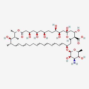 molecular formula C47H75NO17 B12946762 (1S,3R,4R,7R,9R,11R,15S,16R,17R,18S,33R,35S,36R,37S)-33-(((2S,3R,4R,5R,6S)-4-Amino-3,5-dihydroxy-6-methyltetrahydro-2H-pyran-2-yl)oxy)-1,3,4,7,9,11,17,37-octahydroxy-15,16,18-trimethyl-13-oxo-14,39-dioxabicyclo[33.3.1]nonatriaconta-19,21,25,27,29,31-hexaene-36-carboxylic acid 