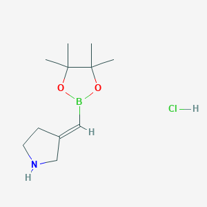 molecular formula C11H21BClNO2 B12950253 (E)-3-((4,4,5,5-Tetramethyl-1,3,2-dioxaborolan-2-yl)methylene)pyrrolidine hydrochloride 