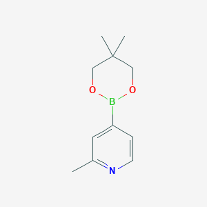 4-(5,5-dimethyl-1,3,2-dioxaborinan-2-yl)-2-methylpyridine