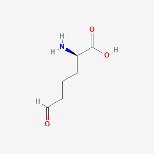 (R)-2-Amino-6-oxohexanoic acid