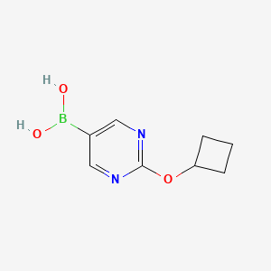 molecular formula C8H11BN2O3 B12953950 (2-Cyclobutoxypyrimidin-5-yl)boronic acid 