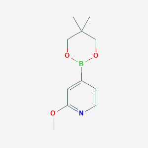 molecular formula C11H16BNO3 B12956213 4-(5,5-Dimethyl-1,3,2-dioxaborinan-2-yl)-2-methoxypyridine 