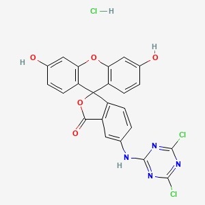 molecular formula C23H13Cl3N4O5 B1295760 Spiro(isobenzofuran-1(3H),9'-(9H)xanthen)-3-one, 5-((4,6-dichloro-1,3,5-triazin-2-yl)amino)-3',6'-dihydroxy-, monohydrochloride CAS No. 21811-74-5