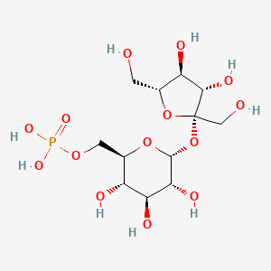 molecular formula C12H23O14P B12958860 Sucrose-6-phosphate CAS No. 22372-29-8