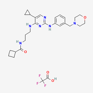 N-[3-[[5-cyclopropyl-2-[3-(morpholin-4-ylmethyl)anilino]pyrimidin-4-yl]amino]propyl]cyclobutanecarboxamide;2,2,2-trifluoroacetic acid