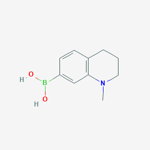 molecular formula C10H14BNO2 B12964009 (1-Methyl-1,2,3,4-tetrahydroquinolin-7-yl)boronic acid 