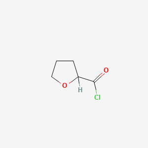 molecular formula C5H7ClO2 B1296549 四氢呋喃-2-甲酰氯 CAS No. 52449-98-6