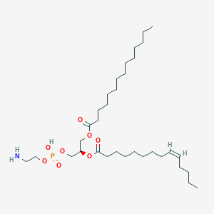 molecular formula C33H64NO8P B12965569 1-tetradecanoyl-2-(9Z-tetradecenoyl)-glycero-3-phosphoethanolamine 