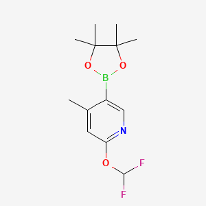 2-(Difluoromethoxy)-4-methyl-5-(4,4,5,5-tetramethyl-1,3,2-dioxaborolan-2-yl)pyridine