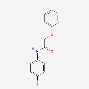 B1296657 N-(4-bromophenyl)-2-phenoxyacetamide CAS No. 18861-19-3