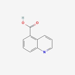 molecular formula C10H7NO2 B1296838 喹啉-5-甲酸 CAS No. 7250-53-5