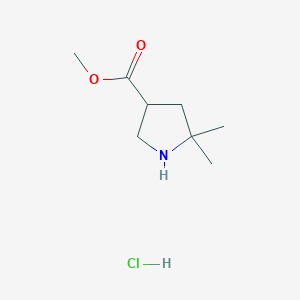 Methyl 5,5-dimethylpyrrolidine-3-carboxylate hydrochloride