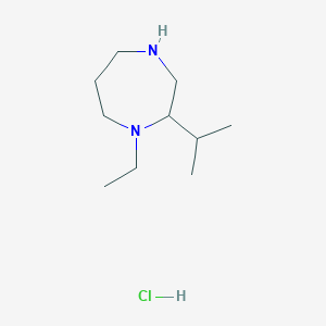 molecular formula C10H23ClN2 B12971541 1-ethyl-2-propan-2-yl-1,4-diazepane;hydrochloride 