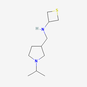 molecular formula C11H22N2S B12976912 N-((1-Isopropylpyrrolidin-3-yl)methyl)thietan-3-amine 