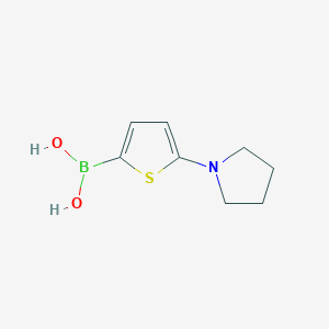 (5-(Pyrrolidin-1-yl)thiophen-2-yl)boronic acid