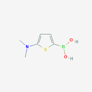 (5-(Dimethylamino)thiophen-2-yl)boronic acid