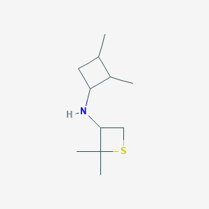 N-(2,3-Dimethylcyclobutyl)-2,2-dimethylthietan-3-amine