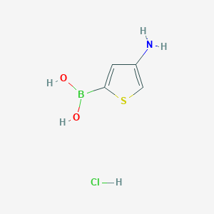 (4-Aminothiophen-2-yl)boronic acid hydrochloride