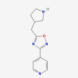 molecular formula C12H14N4O B12983949 3-(Pyridin-4-yl)-5-(pyrrolidin-3-ylmethyl)-1,2,4-oxadiazole 