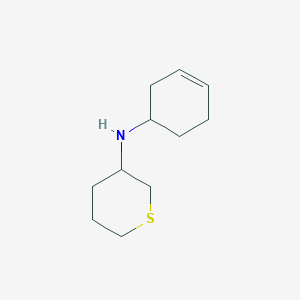 N-(Cyclohex-3-en-1-yl)tetrahydro-2H-thiopyran-3-amine