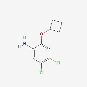 molecular formula C10H11Cl2NO B12993572 4,5-Dichloro-2-cyclobutoxyaniline 